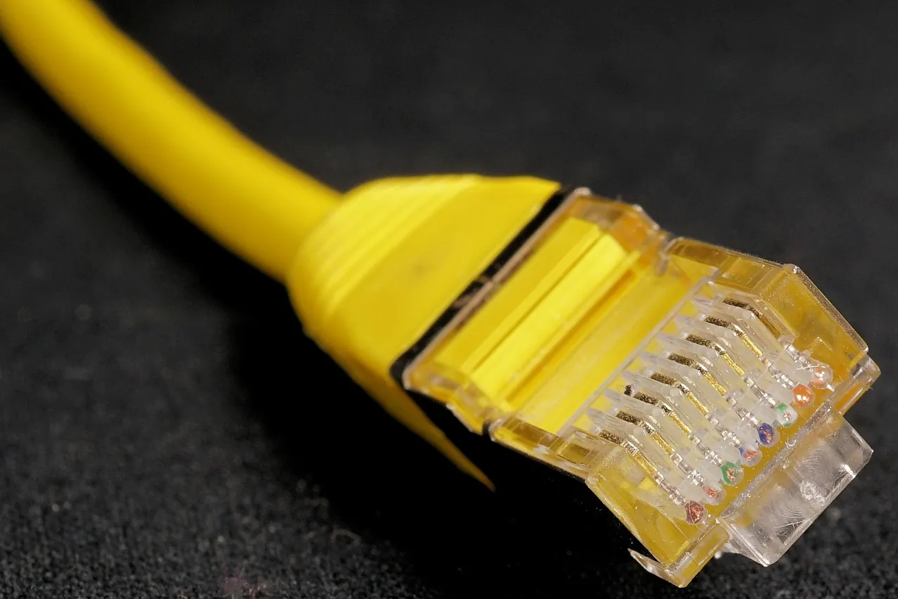 Internet, lan, cable