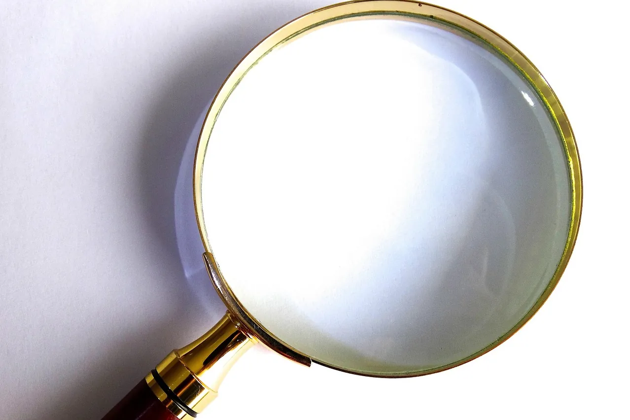 Magnifying glass, enlargement, enlarge