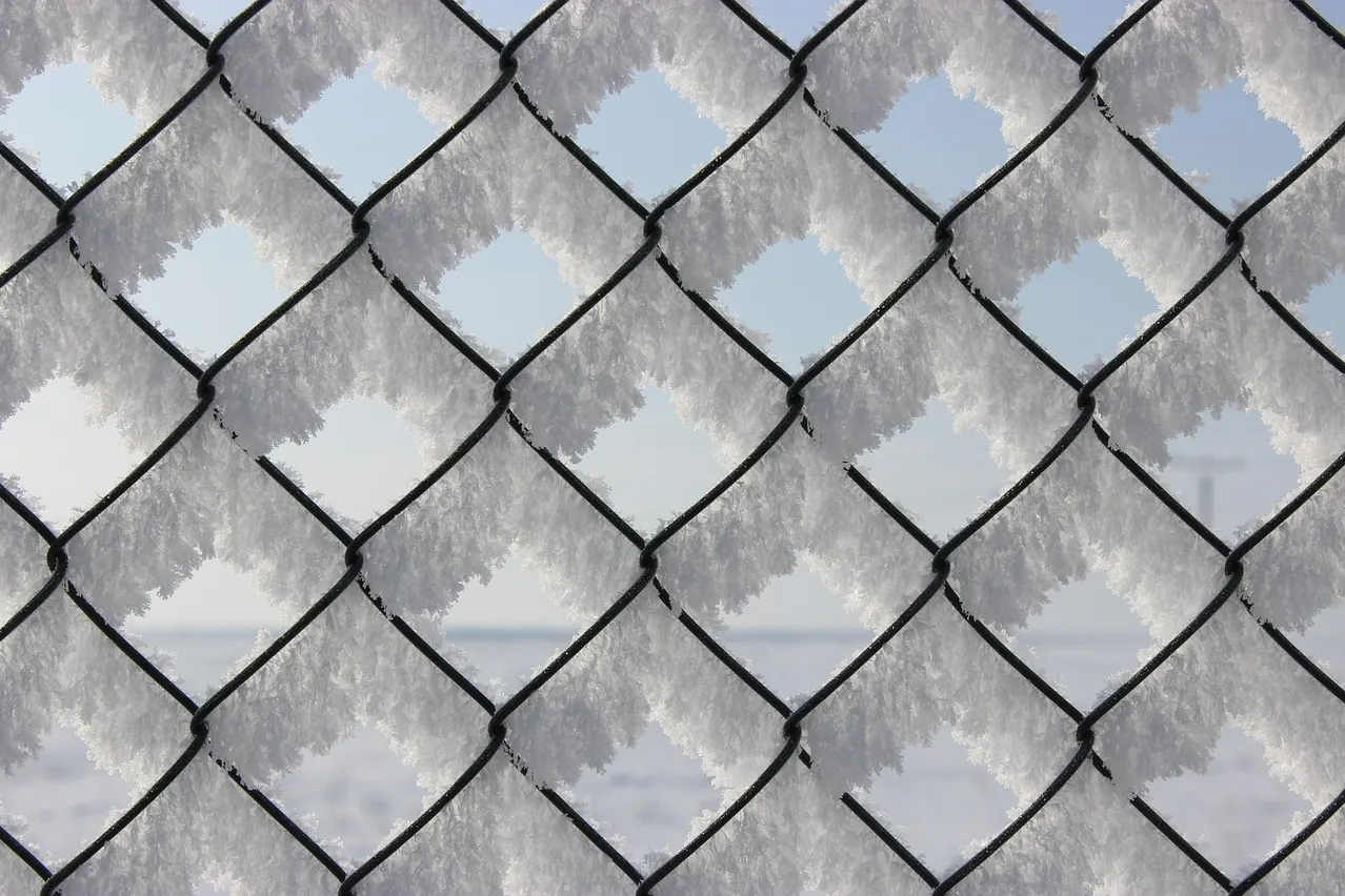 Fence, snow, nature