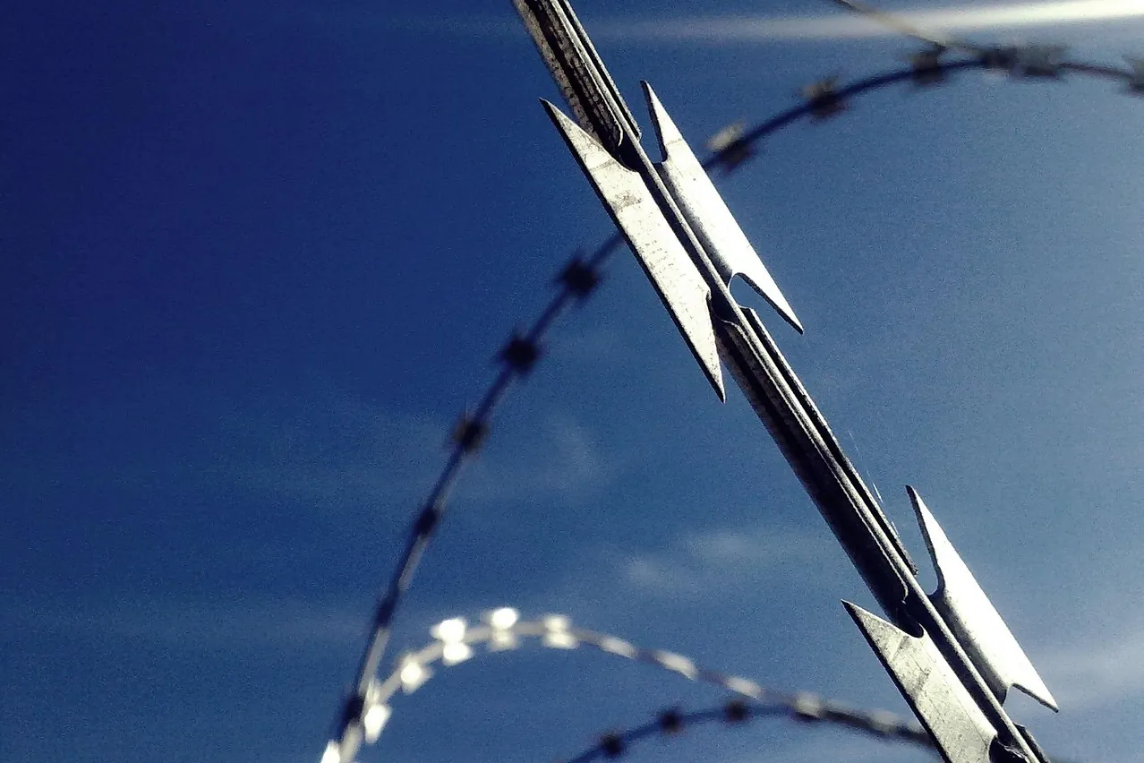 Wiring, wire, perimeter fence