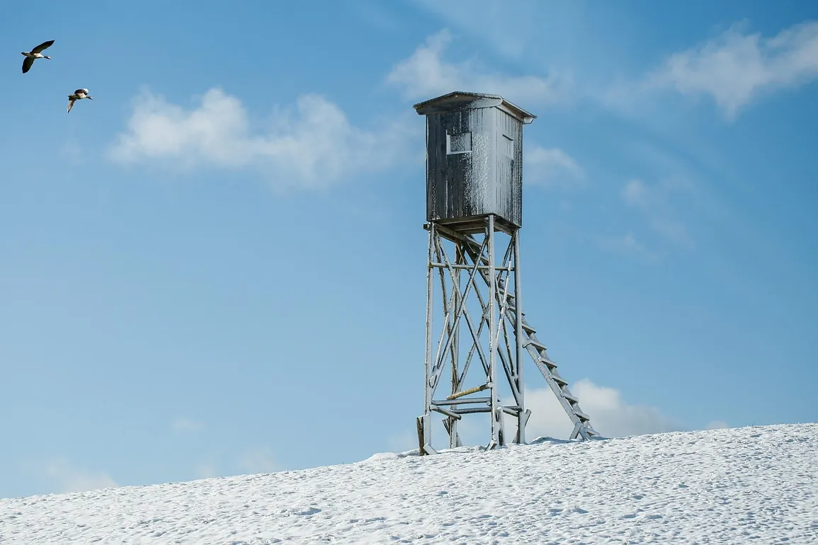 Lookout tower, snow, winter