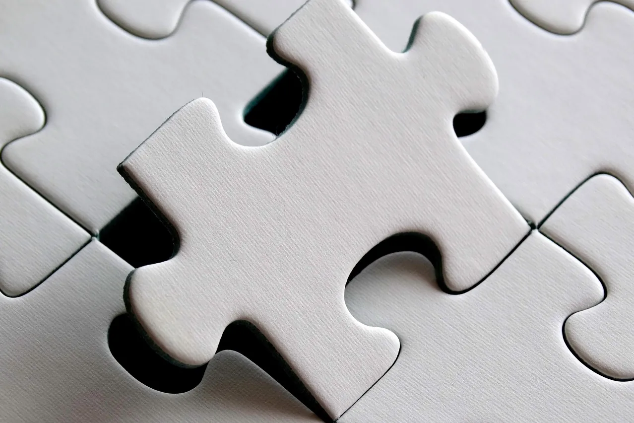 Puzzle, last particle, piece
